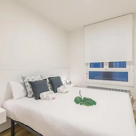 Egia Plaza Apartment